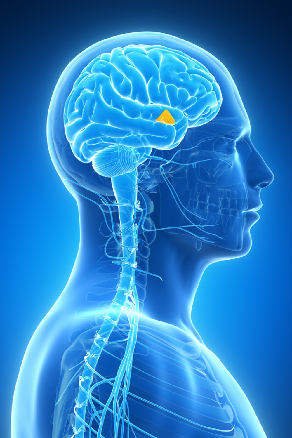 Cirugía Neurológica Funcional