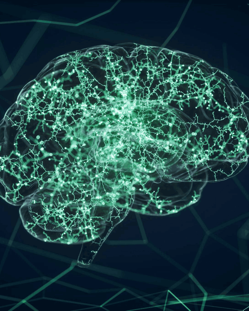 Cirugía de Epilepsia Neurocirujano Precio