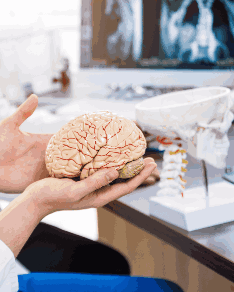 Costo de Microcirugía Neurocirujano