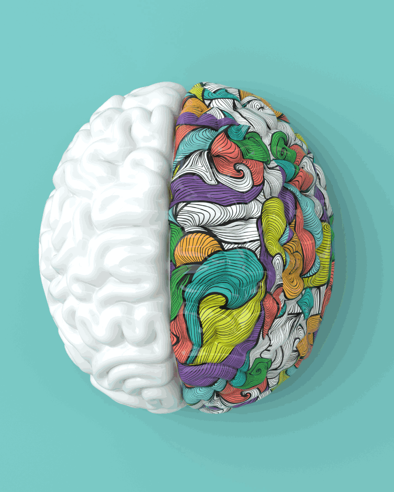 Especialidad Neurocirugía CDMX