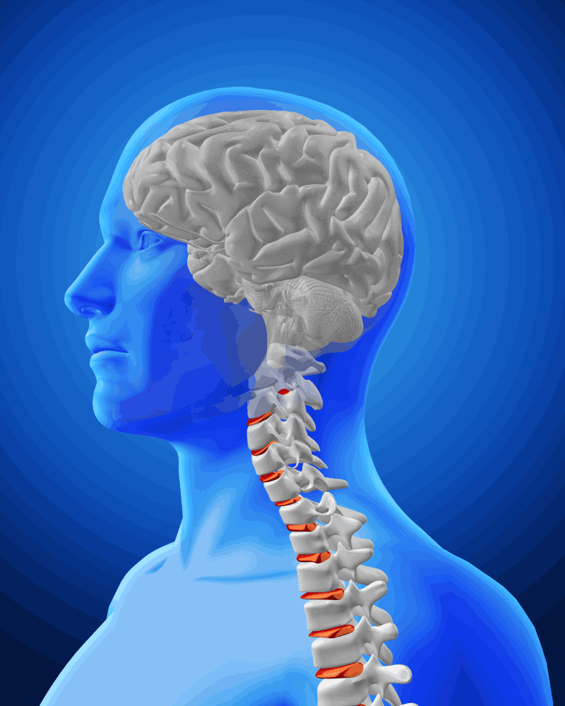 Neurocirujano 24 Horas CDMX