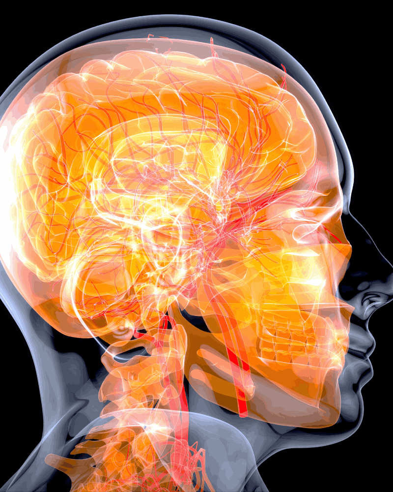 Ubicación de Clínicas Neurocirugía CDMX